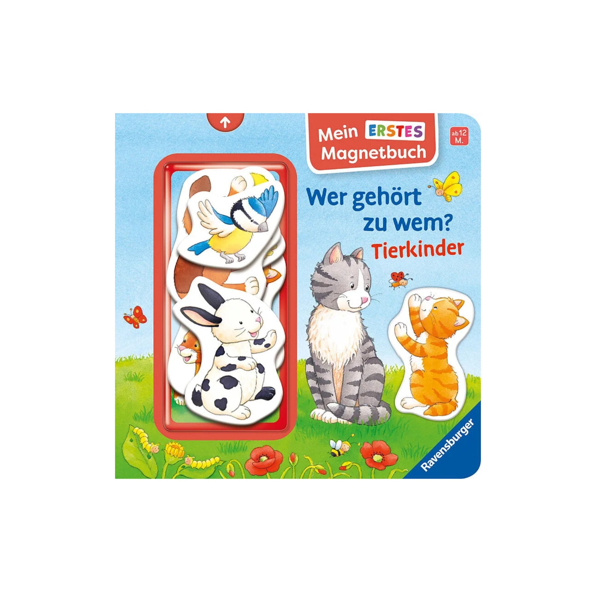 MAGNETBUCH KLEIN, WAS GEHÖRT WO HIN, TIERKINDER