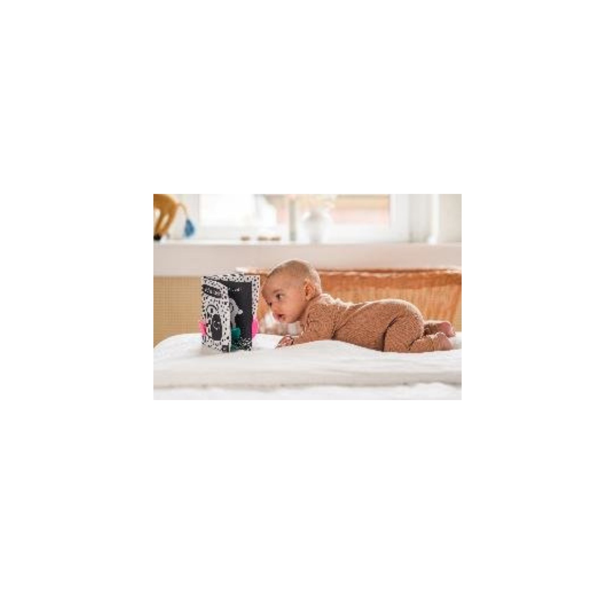 Babys kuschelweiches Kontrastbuch (Stoffbuch)