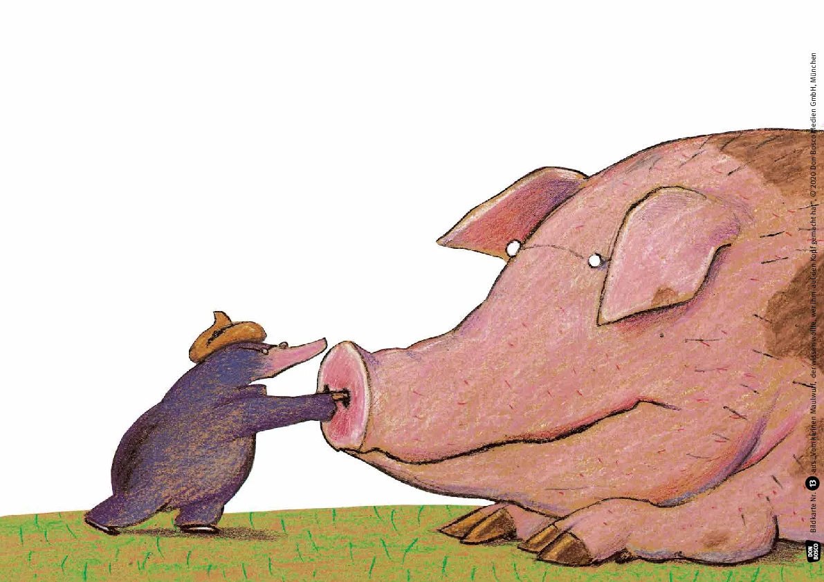 WERNER HOLZWARTH/WOLF ERLBRUCH, VOM KLEINEN MAULWURF, DER WISSEN WOLLTE, WER IHM AUF DEN KOPF GEMACHT HAT