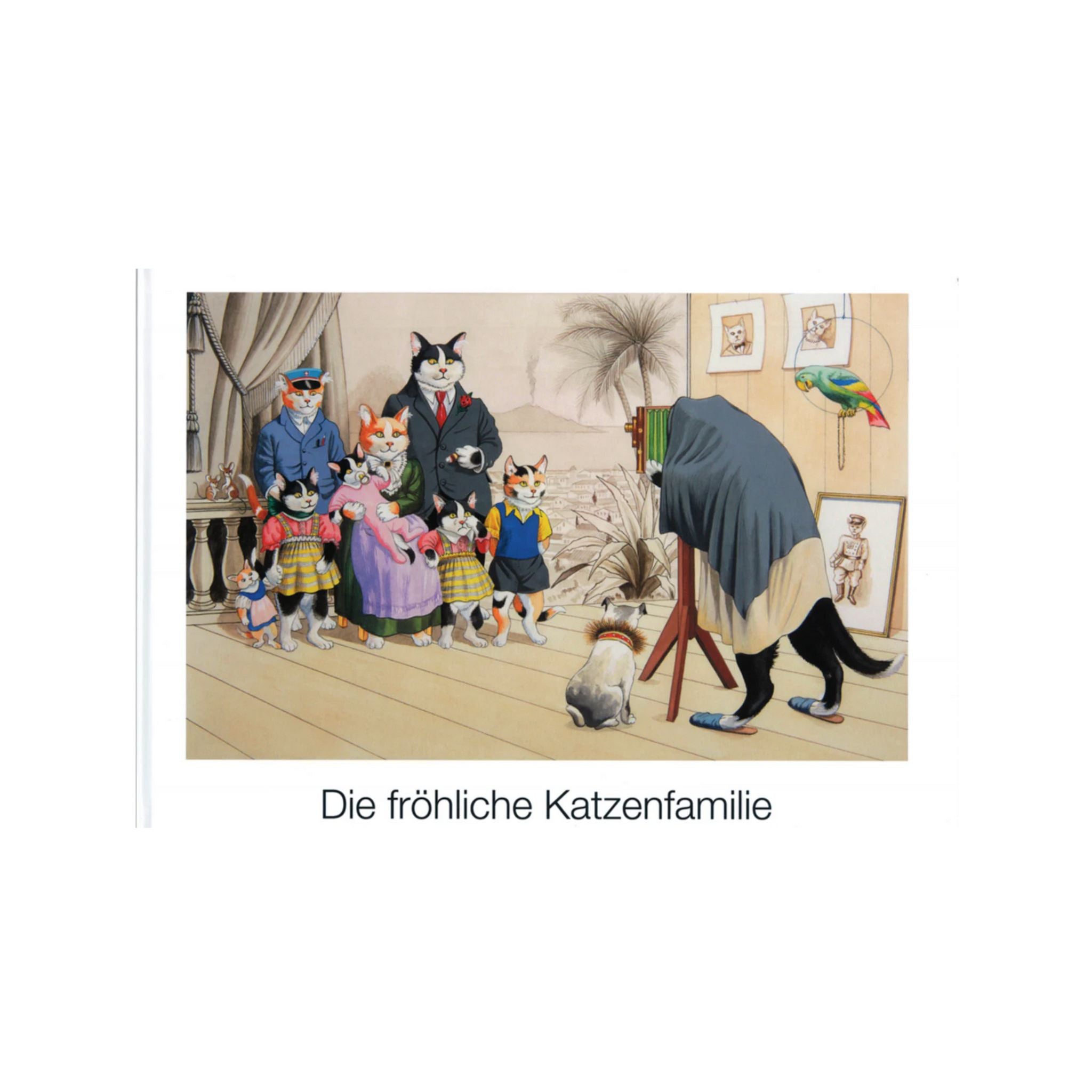 LES LIVRES CHAT JOYEUX