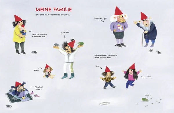 DAS GEHEIME BUCH DER WICHTEL, LOES RIPHAGEN