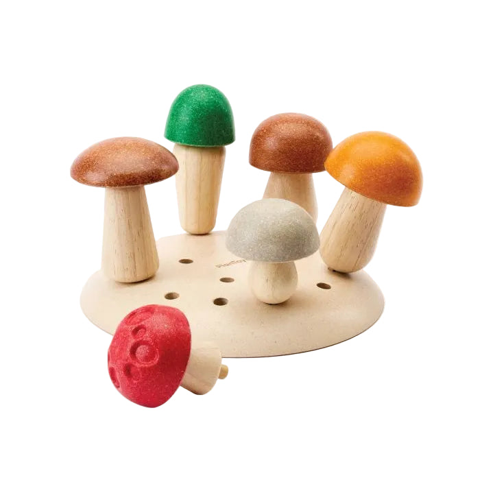 Pilze Sammeln