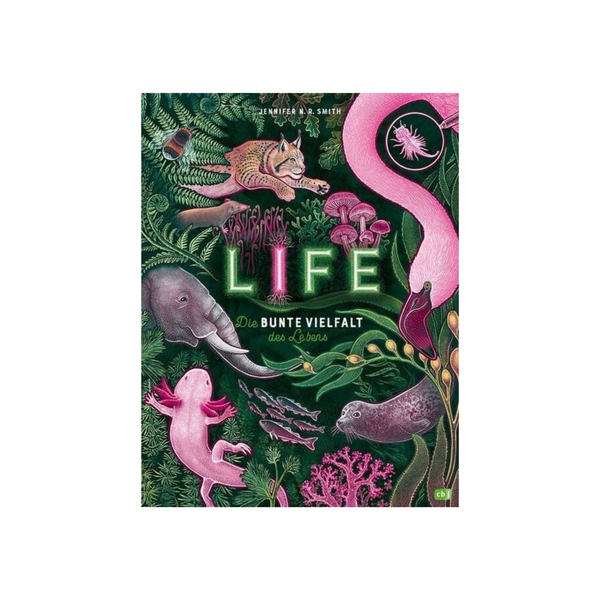 Die bunte Vielfalt des Lebens