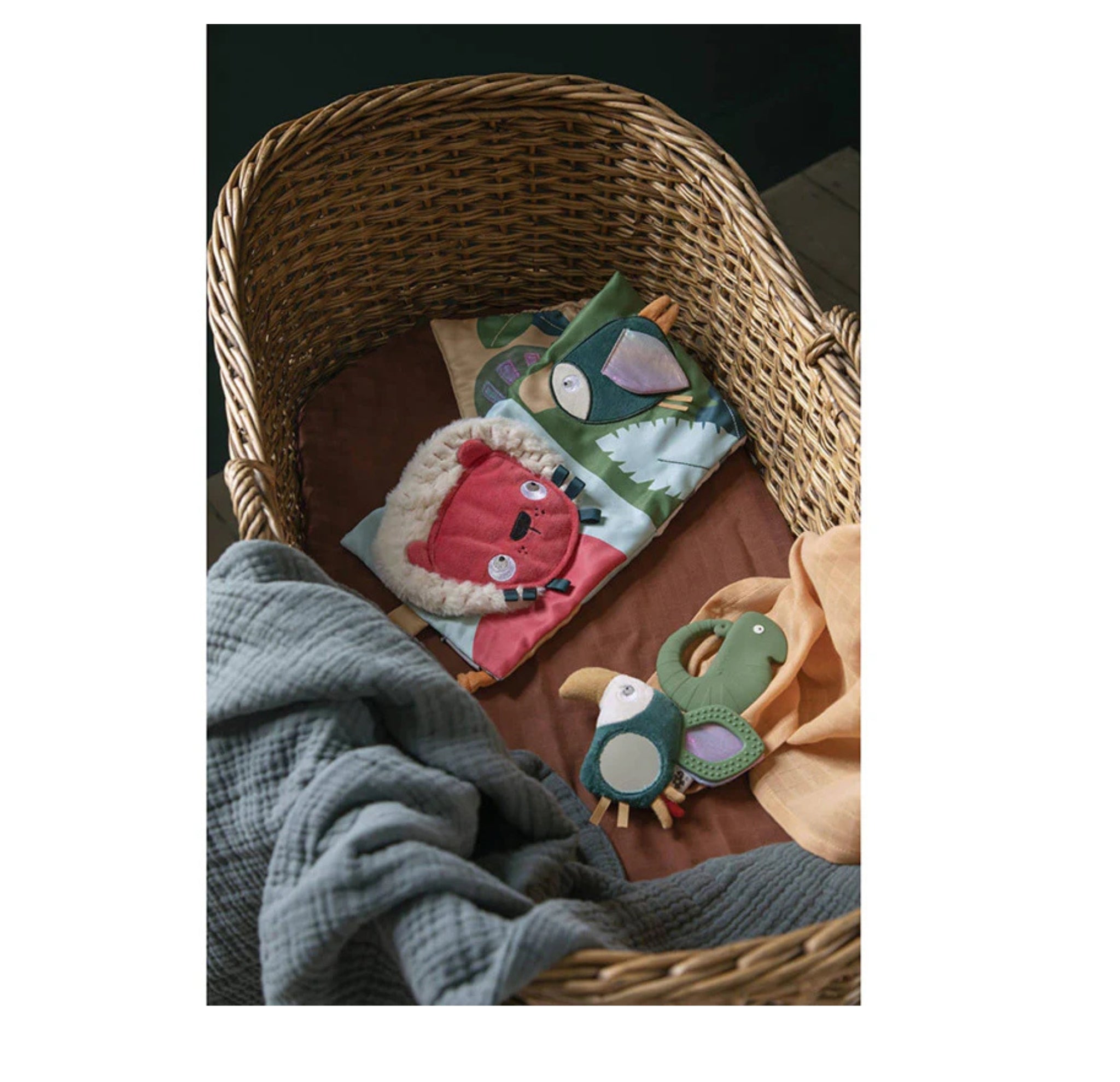 Sebra Activity Book Wildlife