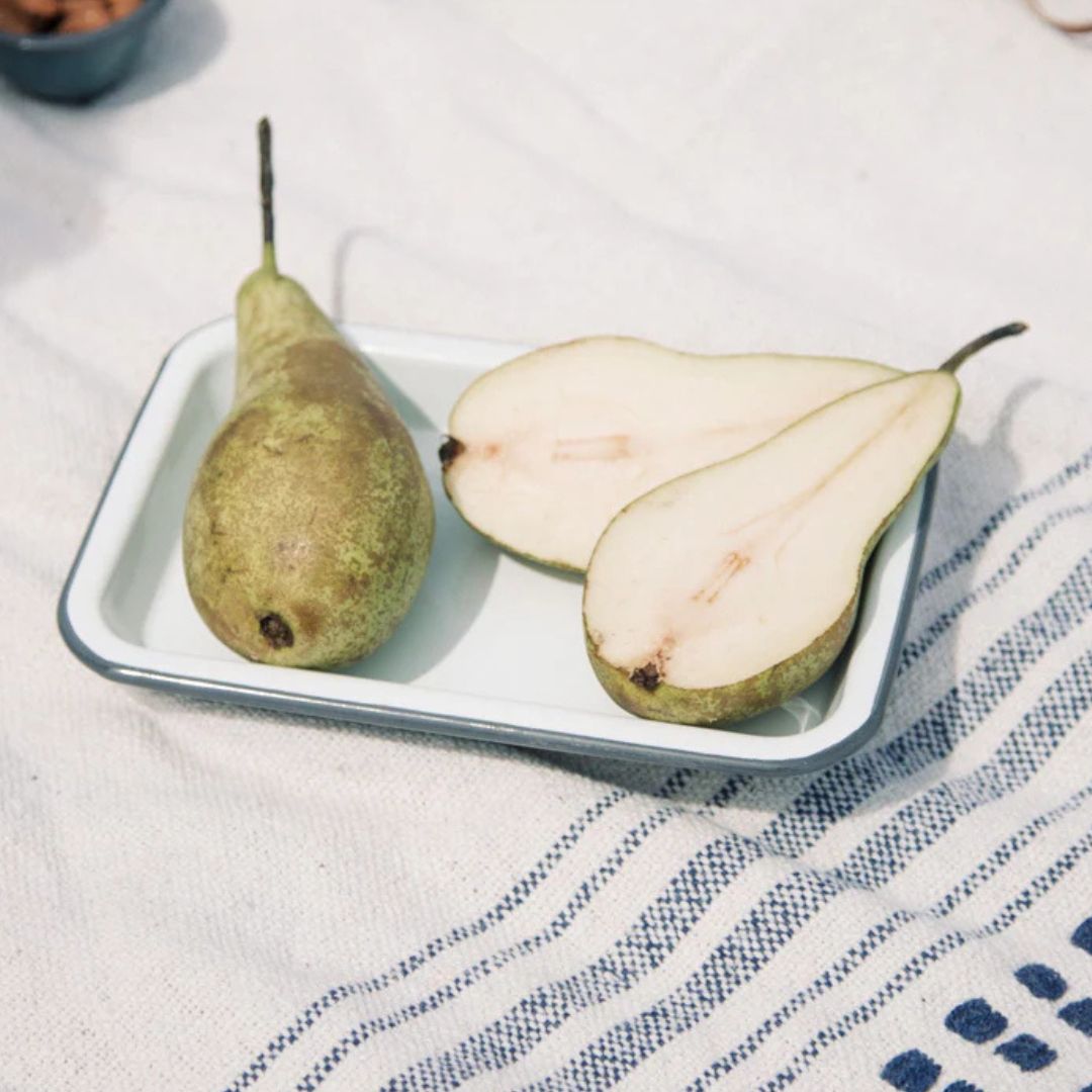 Kleines Tablett: Weiß mit blauem Rand