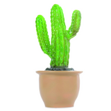 CACTUS LAMP