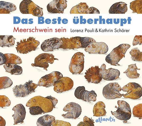 LORENZ PAULI, DAS BESTE ÜBERHAUPT - MEERSCHWEIN SEIN