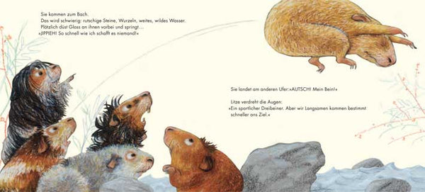 LORENZ PAULI, DAS BESTE ÜBERHAUPT - MEERSCHWEIN SEIN