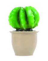 LAMPE CACTUS